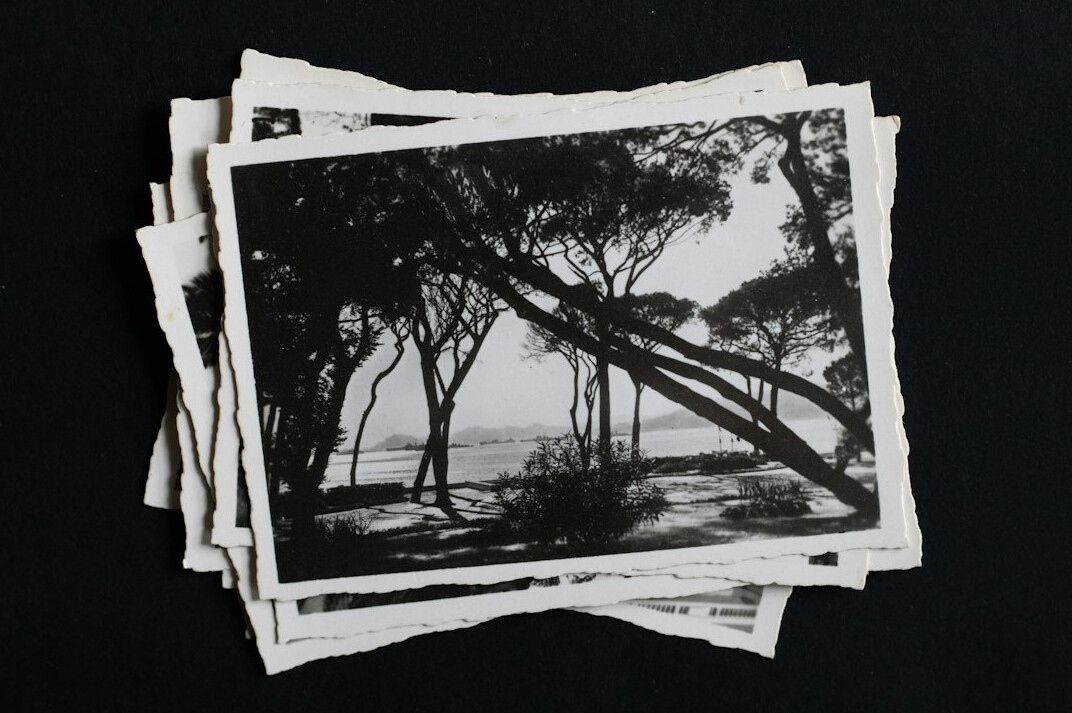vintage black and white photo